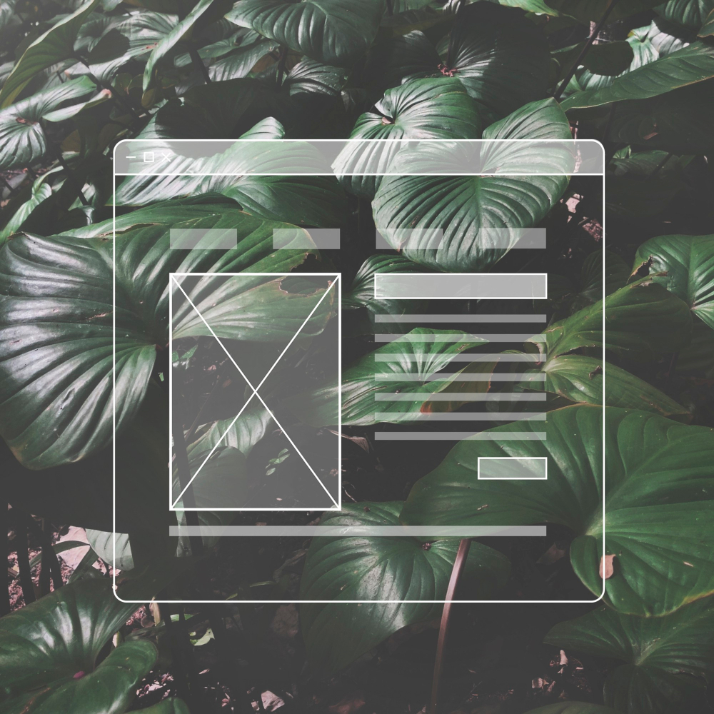 Professional SEO Audit – Is Your Cambodia Website Invisible on Google